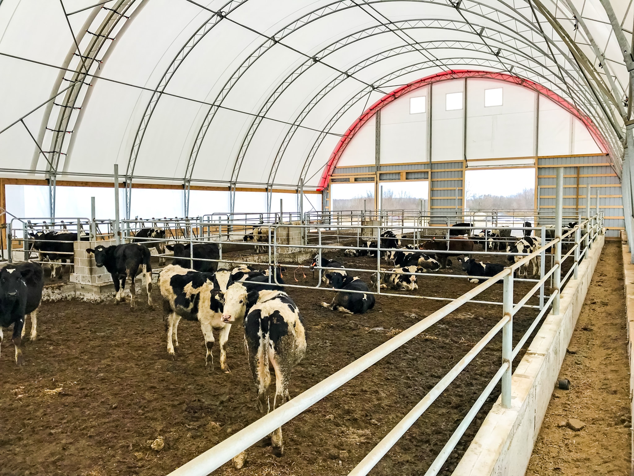 low maintenance cost-effective breathable nature tension fabric buildings makes excellent farmers
